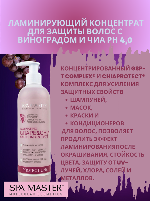 SPA MASTER: Ламинирующий концентрат для защиты волос с виноградом и чиа рН 4,0 LAMINATING GRAPE&CHIA HAIR CONCENTRATE, 330 мл SPA MASTER: Ламинирующий концентрат для защиты волос с виноградом и чиа рН 4,0 LAMINATING GRAPE&CHIA HAIR CONCENTRATE, 330 мл